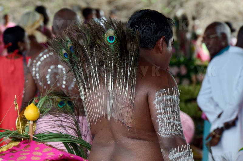 Celebration du Tai Poussam Cavadee a Saint-Louis, La Reunion