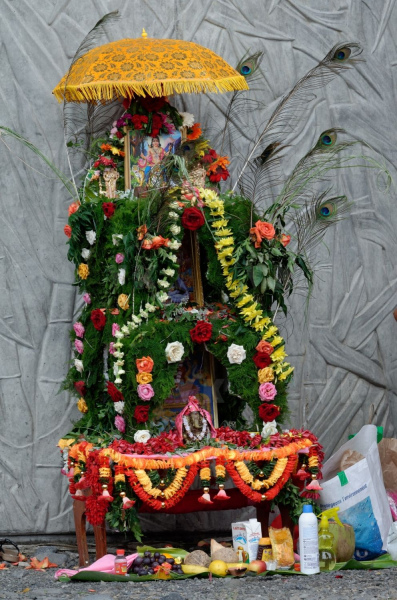 Celebration du Tai Poussam Cavadee a Saint-Louis, La Reunion