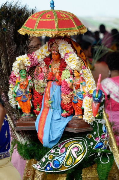 Celebration du Tai Poussam Cavadee a Saint-Louis, La Reunion