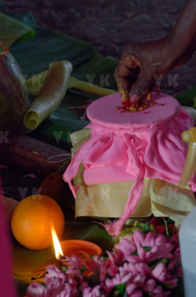 Celebration du Tai Poussam Cavadee a Saint-Louis, La Reunion