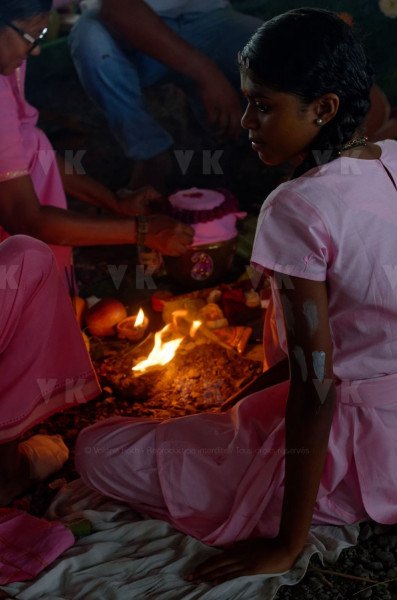 Celebration du Tai Poussam Cavadee a Saint-Louis, La Reunion