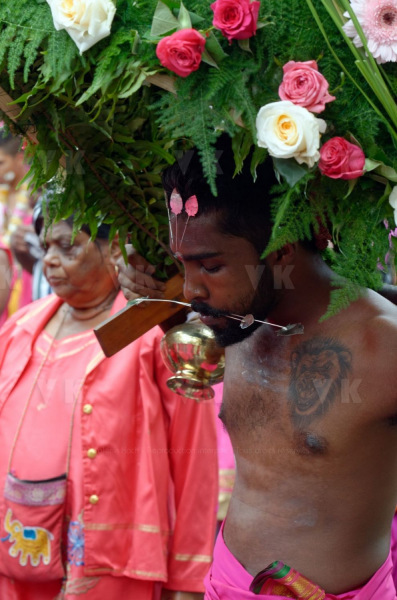 Celebration du Tai Poussam Cavadee a Saint-Louis, La Reunion
