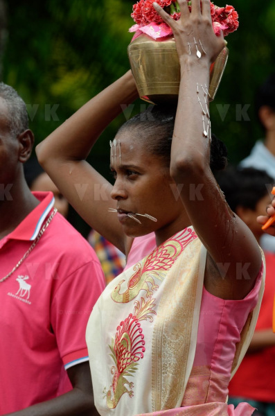 Celebration du Tai Poussam Cavadee a Saint-Louis, La Reunion
