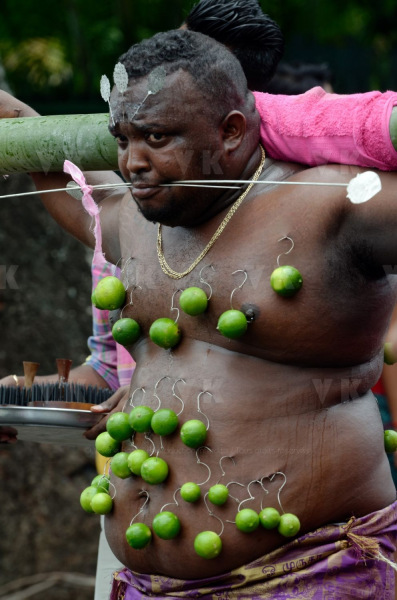 Celebration du Tai Poussam Cavadee a Saint-Louis, La Reunion