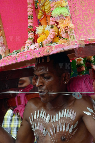 Celebration du Tai Poussam Cavadee a Saint-Louis, La Reunion