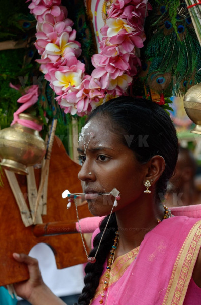 Celebration du Tai Poussam Cavadee a Saint-Louis, La Reunion