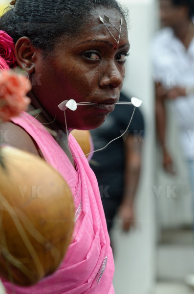 Celebration du Tai Poussam Cavadee a Saint-Louis, La Reunion