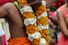 Celebration du Tai Poussam Cavadee a Saint-Louis, La Reunion