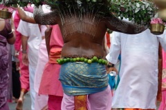 Celebration du Tai Poussam Cavadee a Saint-Louis, La Reunion