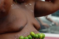 Celebration du Tai Poussam Cavadee a Saint-Louis, La Reunion