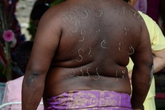 Celebration du Tai Poussam Cavadee a Saint-Louis, La Reunion