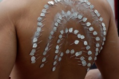 Celebration du Tai Poussam Cavadee a Saint-Louis, La Reunion