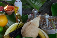 Celebration du Tai Poussam Cavadee a Saint-Louis, La Reunion