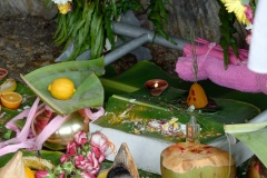 Celebration du Tai Poussam Cavadee a Saint-Louis, La Reunion