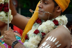 Celebration du Tai Poussam Cavadee a Saint-Louis, La Reunion