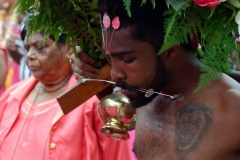 Celebration du Tai Poussam Cavadee a Saint-Louis, La Reunion