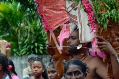 Celebration du Tai Poussam Cavadee a Saint-Louis, La Reunion