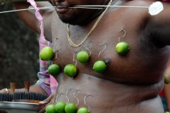 Celebration du Tai Poussam Cavadee a Saint-Louis, La Reunion