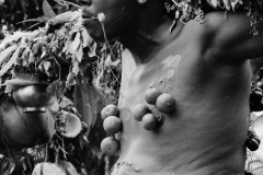 Celebration du Tai Poussam Cavadee a Saint-Louis, La Reunion