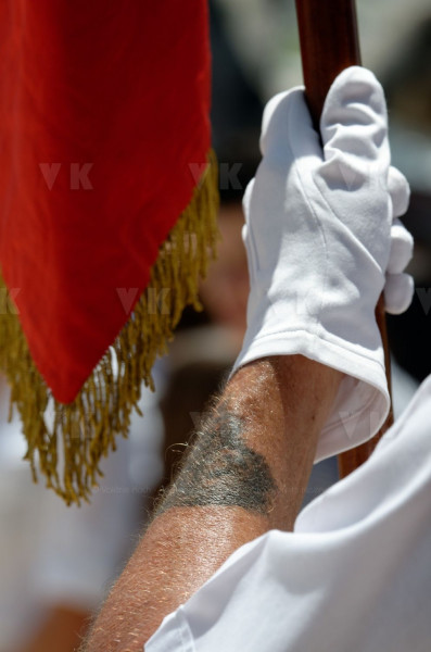 Ceremonie militaire de l'Armistice