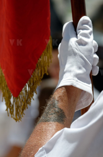 Ceremonie militaire de l'Armistice