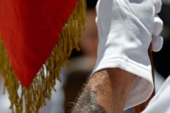 Ceremonie militaire de l'Armistice