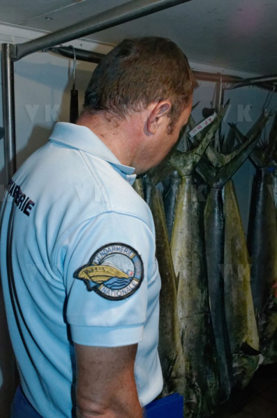 Controles sanitaires et administratifs par la Brigade Nautique Cotiere de gendarmerie