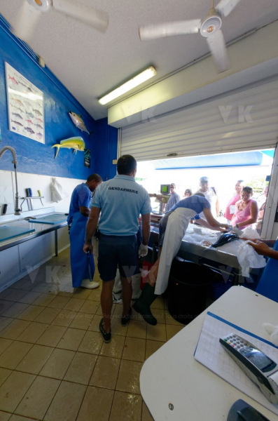 Controles sanitaires et administratifs par la Brigade Nautique Cotiere de gendarmerie