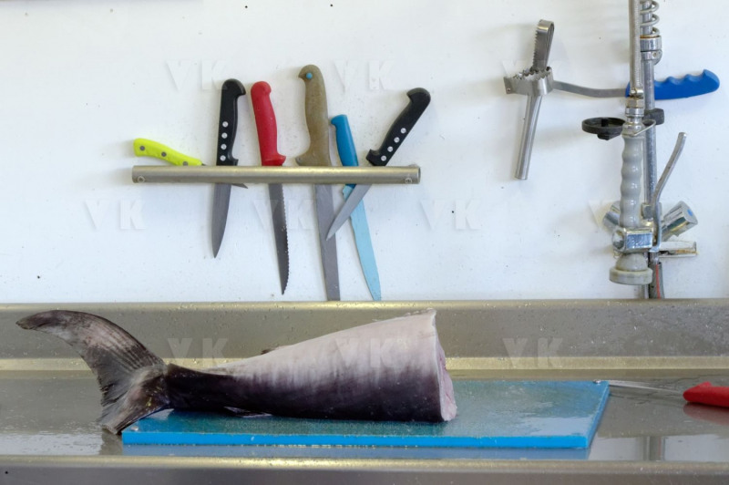 Controles sanitaires et administratifs par la Brigade Nautique Cotiere de gendarmerie