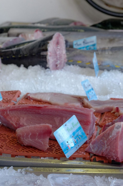 Controles sanitaires et administratifs par la Brigade Nautique Cotiere de gendarmerie
