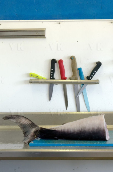 Controles sanitaires et administratifs par la Brigade Nautique Cotiere de gendarmerie