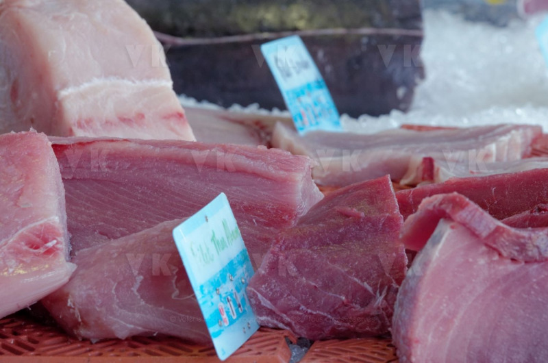 Controles sanitaires et administratifs par la Brigade Nautique Cotiere de gendarmerie