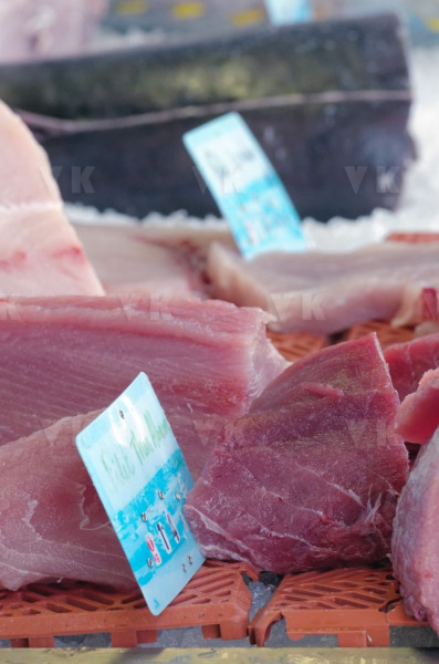 Controles sanitaires et administratifs par la Brigade Nautique Cotiere de gendarmerie