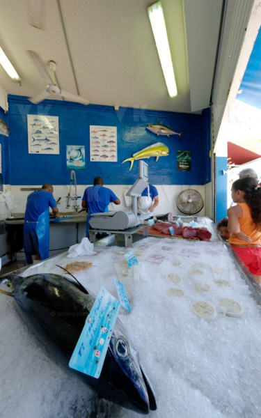Controles sanitaires et administratifs par la Brigade Nautique Cotiere de gendarmerie