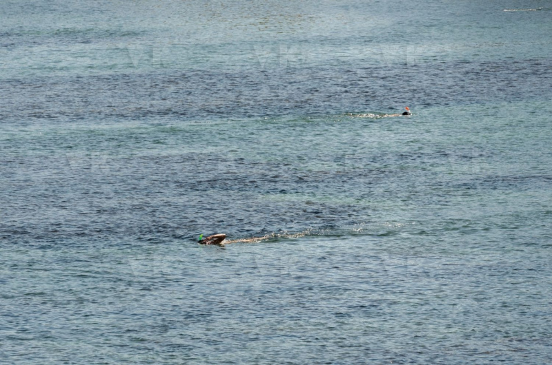 COVID Outbreak -Premier week-end de deconfinement a La Reunion - First deconfinement weekend at Reunion