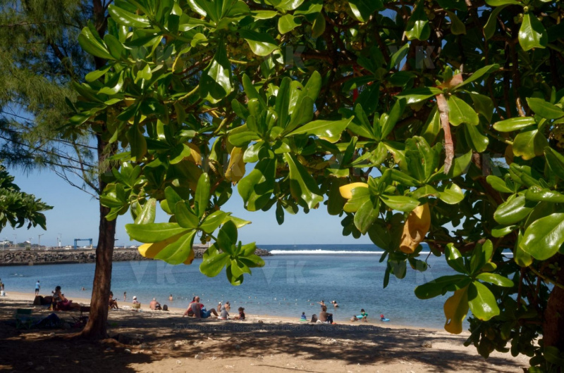 COVID Outbreak -Premier week-end de deconfinement a La Reunion - First deconfinement weekend at Reunion