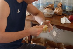 COVID19 - Quatorzaine a l'hotel pour deux etudiants de retour a La Reunion - Fortnight at the hotel for two students returning to La Reunion