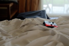 COVID19 - Quatorzaine a l'hotel pour deux etudiants de retour a La Reunion - Fortnight at the hotel for two students returning to La Reunion