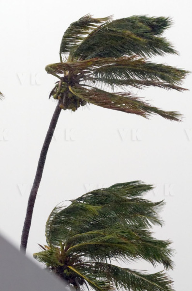 Cyclone Bejisa