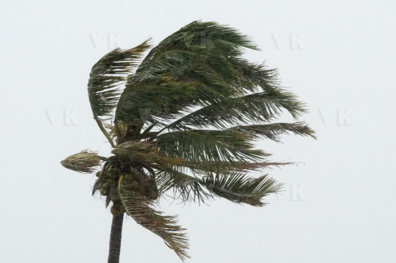 Cyclone Bejisa