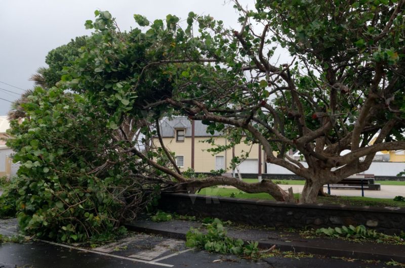 Cyclone Bejisa