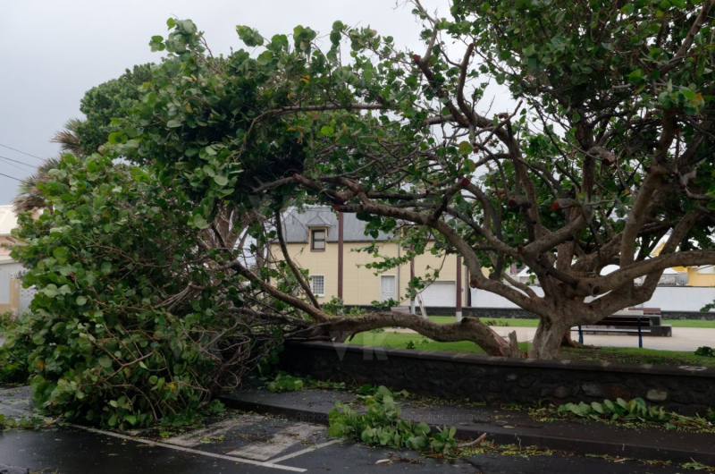 Cyclone Bejisa