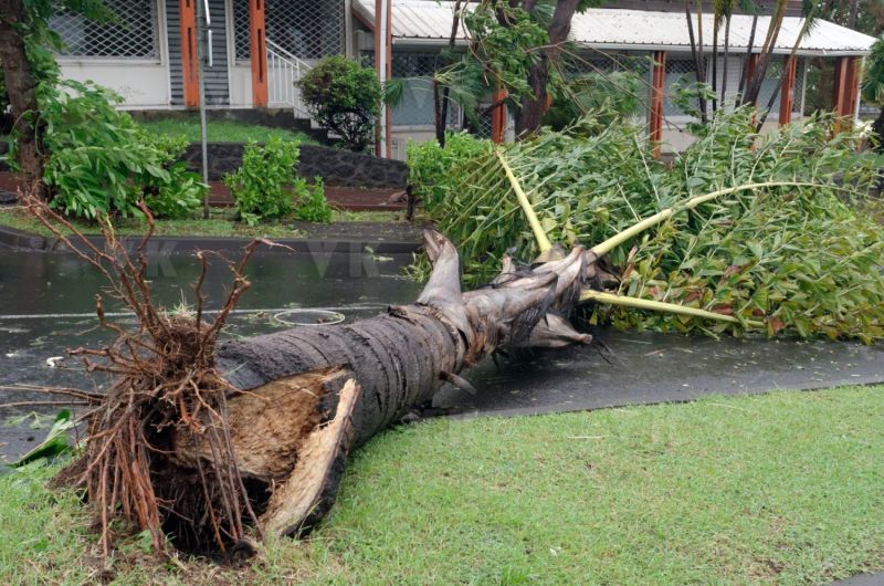 Cyclone Bejisa