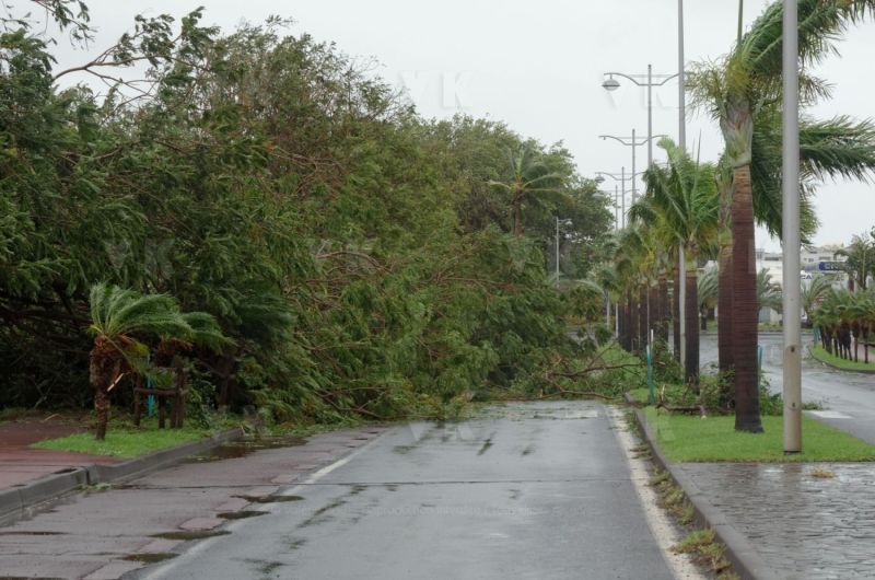 Cyclone Bejisa