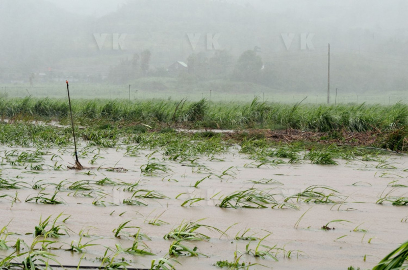 Cyclone Bejisa