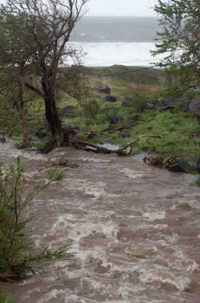 Cyclone Bejisa