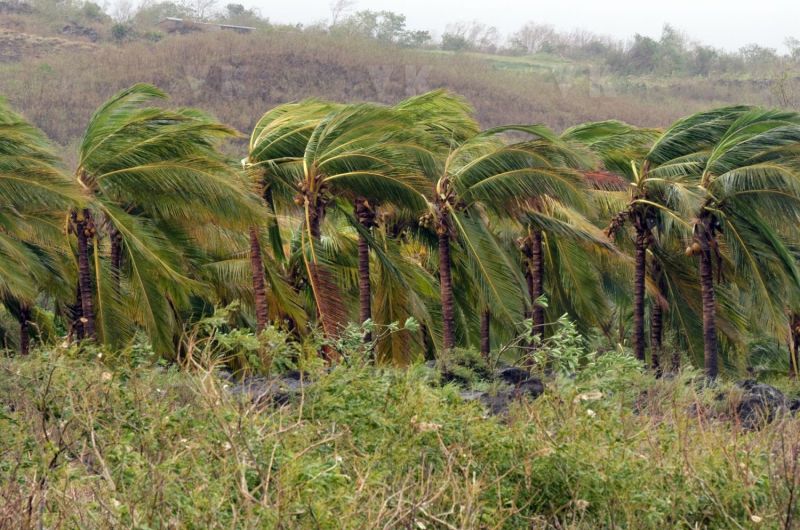 Cyclone Bejisa