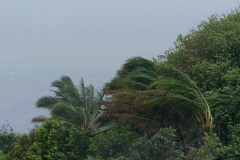 Cyclone Bejisa