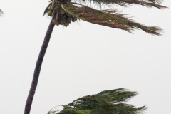 Cyclone Bejisa