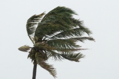 Cyclone Bejisa